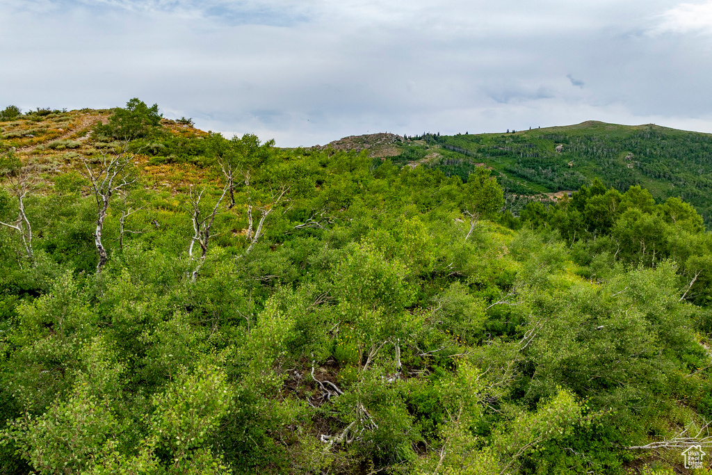  Midway, UT 84049