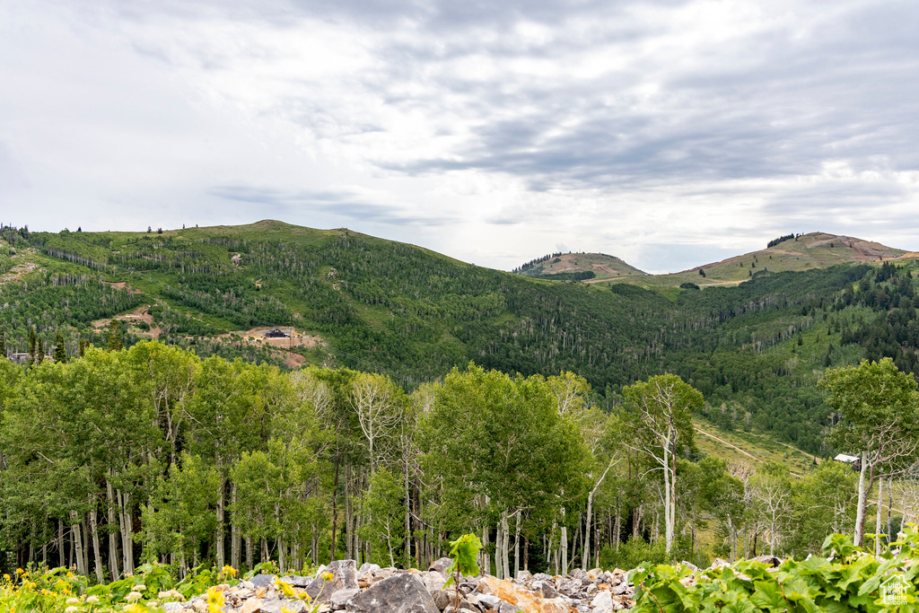 Midway, UT 84049