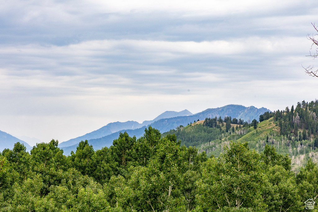  Midway, UT 84049
