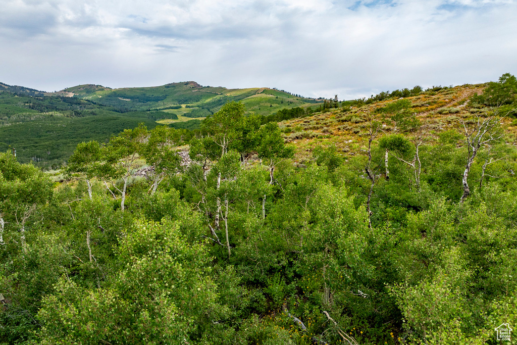  Midway, UT 84049