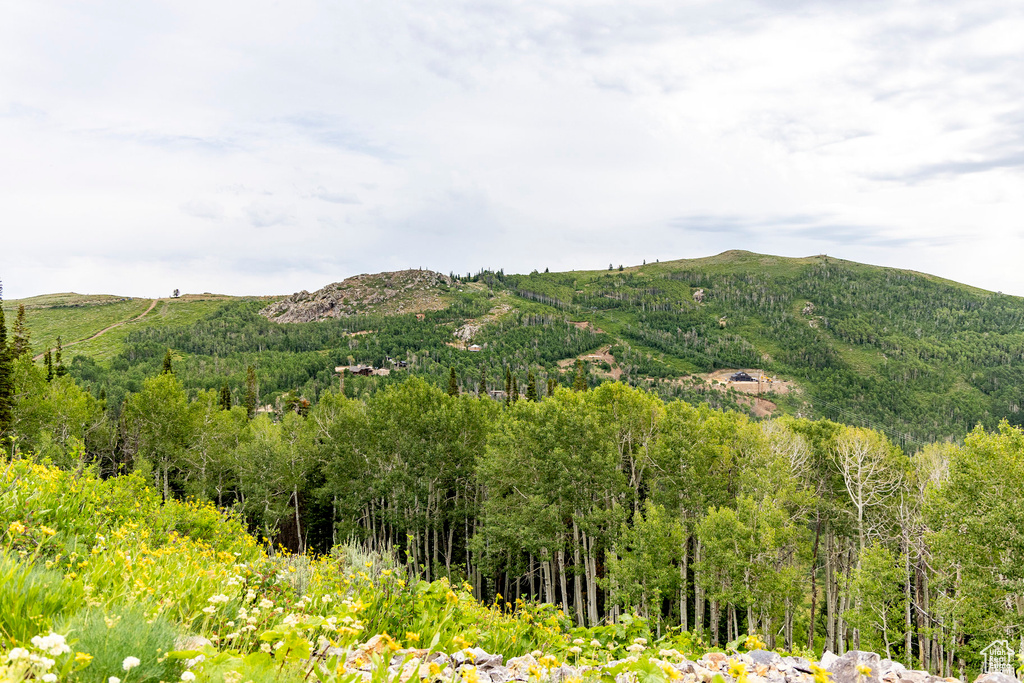  Midway, UT 84049