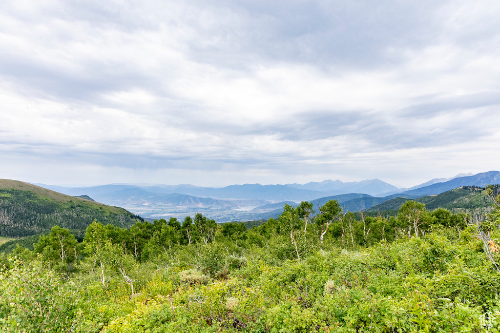  Midway, UT 84049