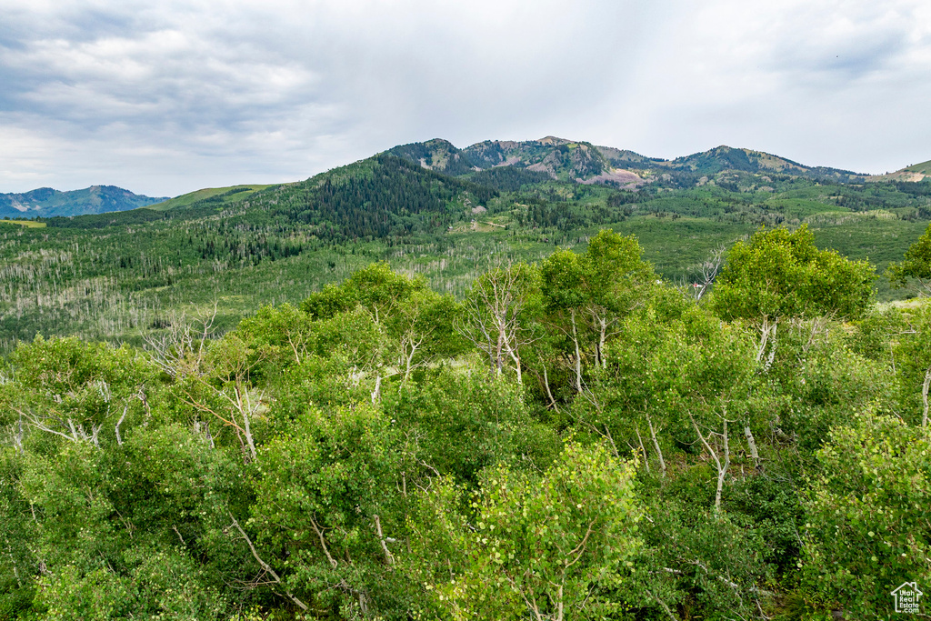  Midway, UT 84049
