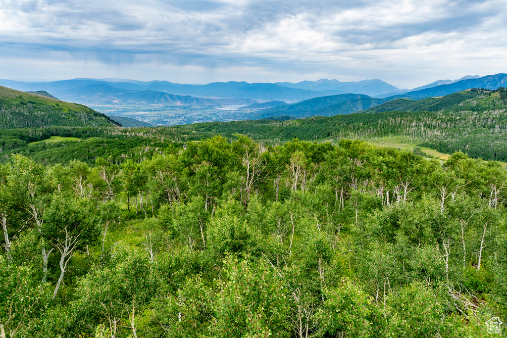  Midway, UT 84049