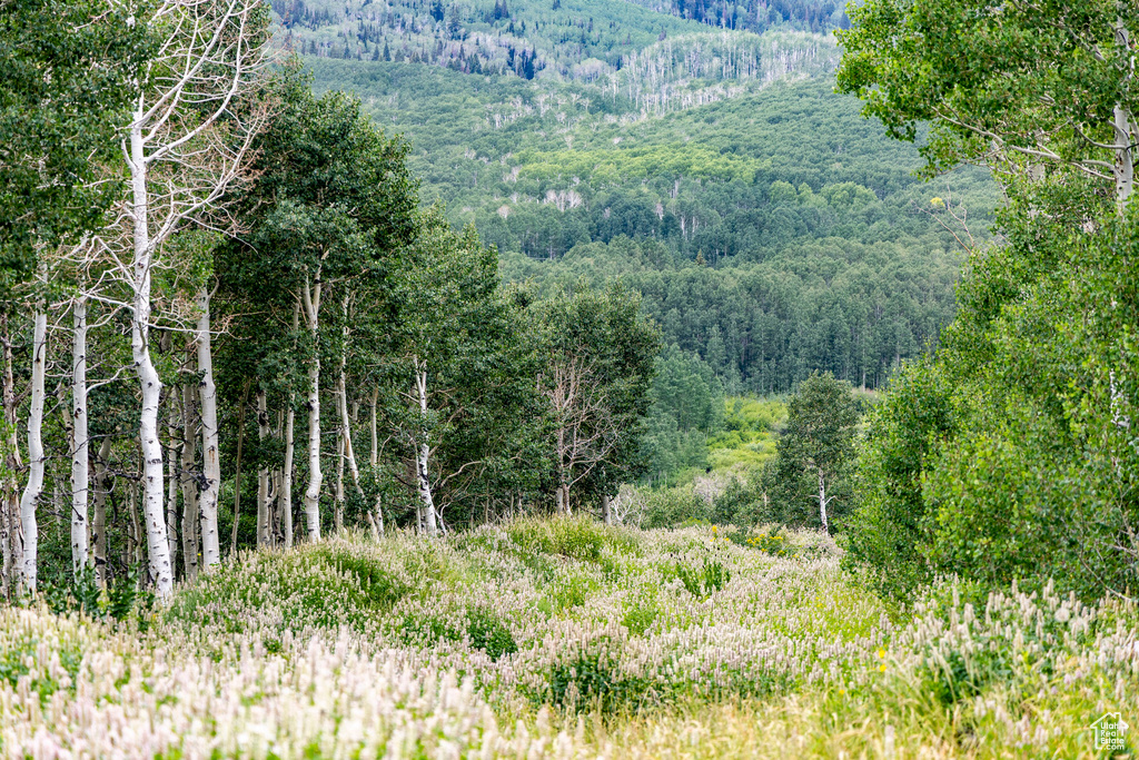  Midway, UT 84049