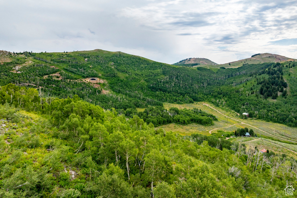  Midway, UT 84049