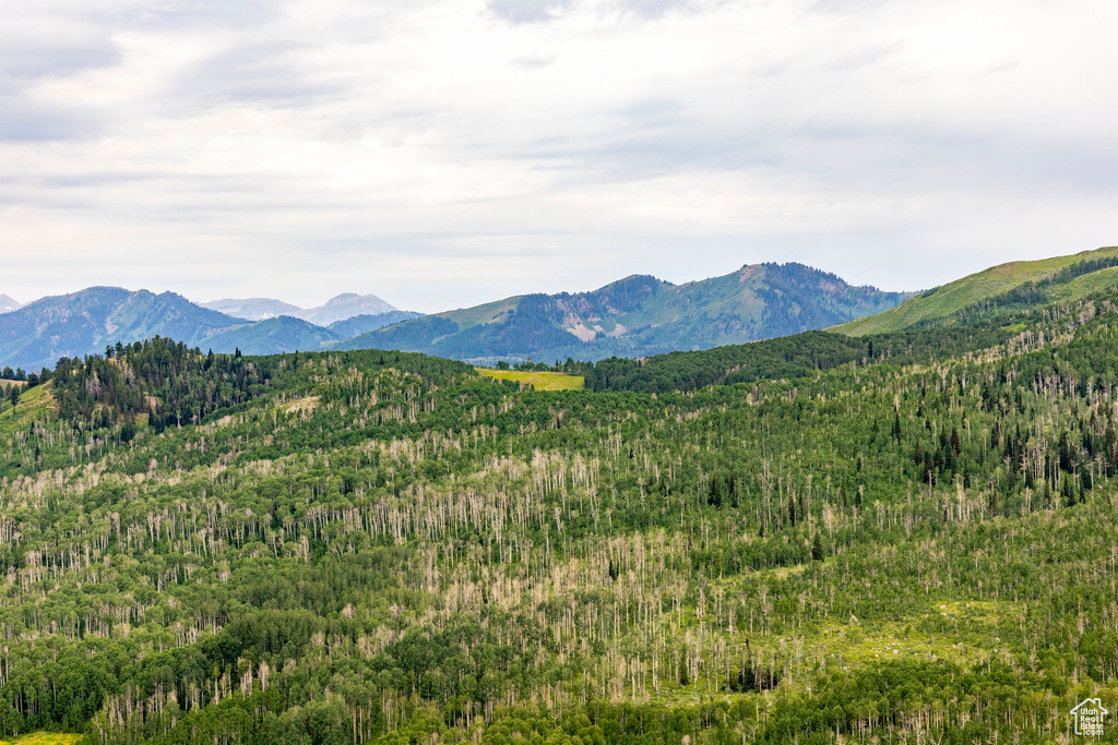  Midway, UT 84049