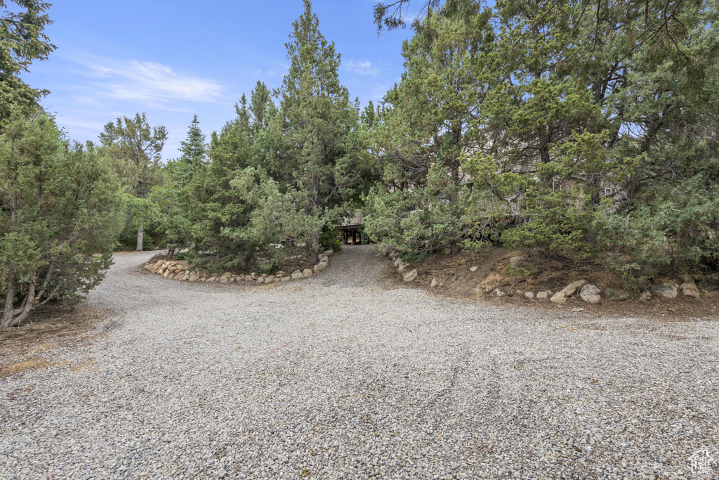 15020 N 12775 E Mt Pleasant, UT 84647