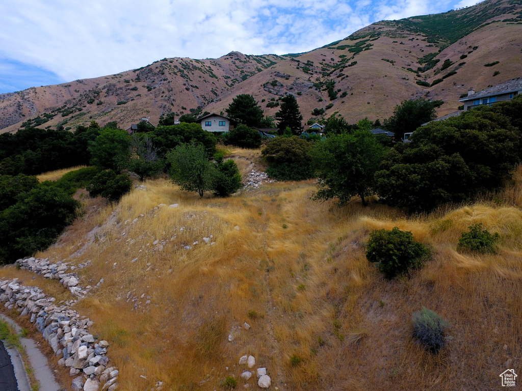 1783  SPRING OAKS DR Springville, UT 84663