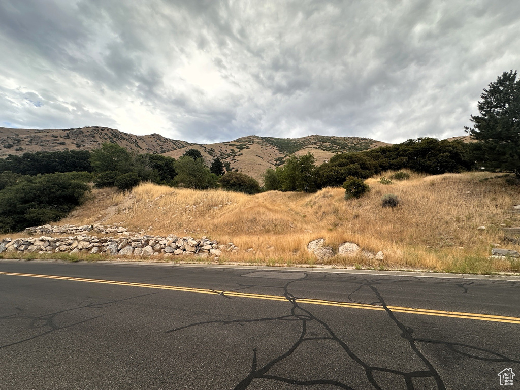 1783  SPRING OAKS DR Springville, UT 84663