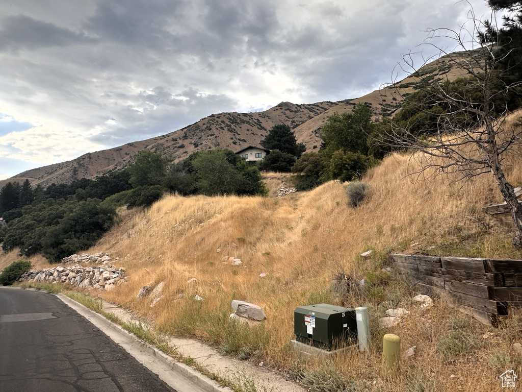 1783  SPRING OAKS DR Springville, UT 84663