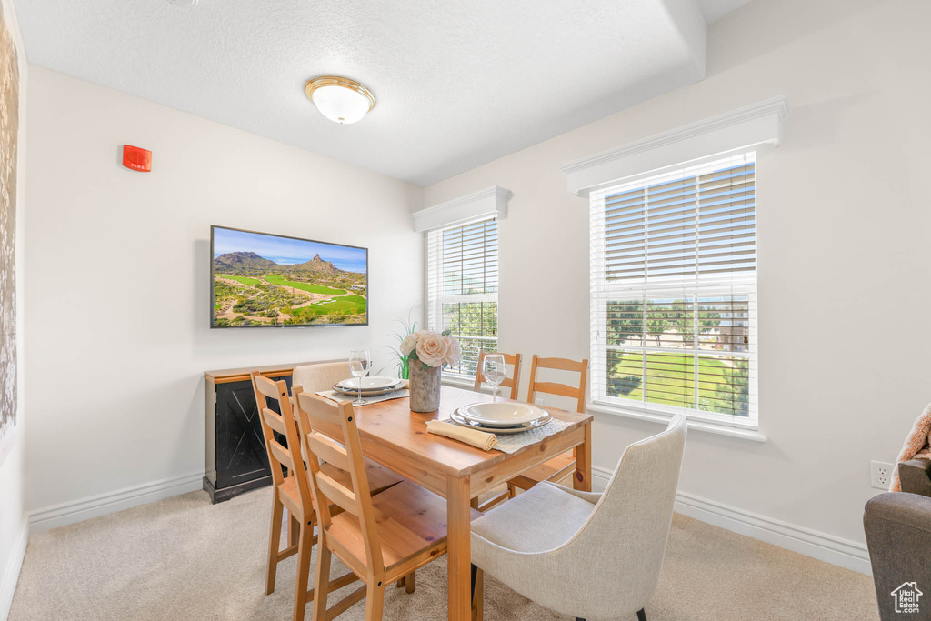 11025 S GRAPEVINE CV #B205 Sandy, UT 84070