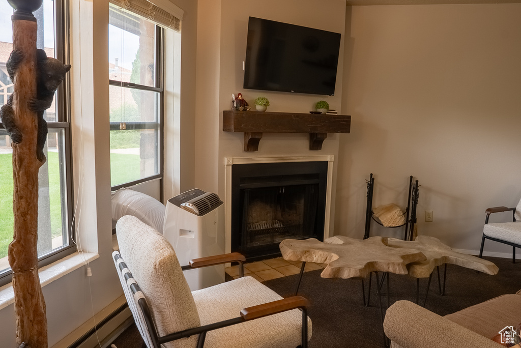 Photo 8 for MLS #2101135 at 3615 N Wolf Lodge Dr  #105