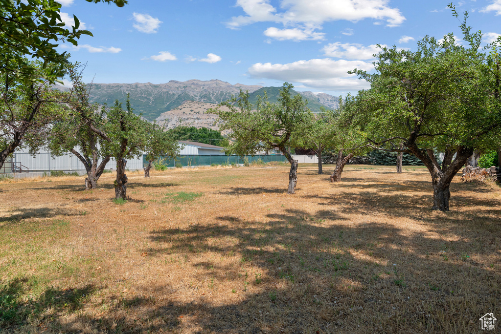 433 N LOCUST AVE Lindon, UT 84042