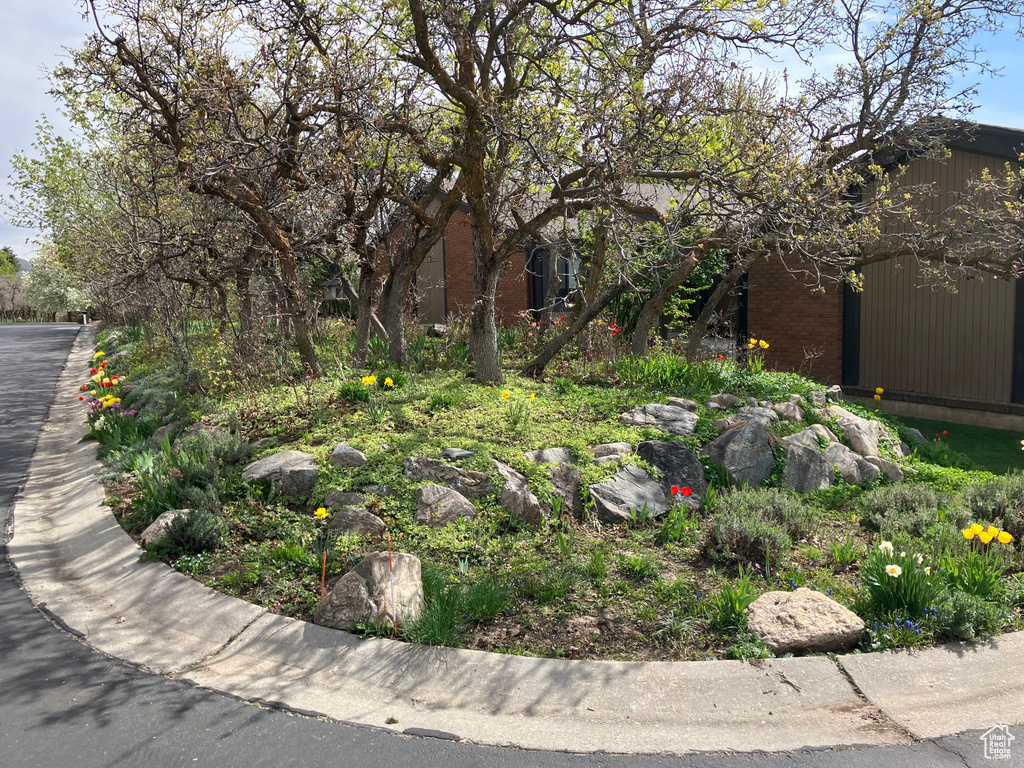 2588 E 1930 N Layton, UT 84040