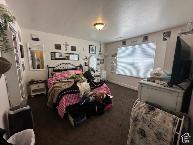 15144 S BRIGHT STARS DR Bluffdale, UT 84065