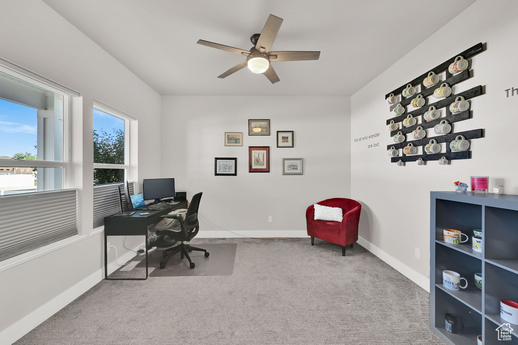 1286 N 4925 W Plain City, UT 84404