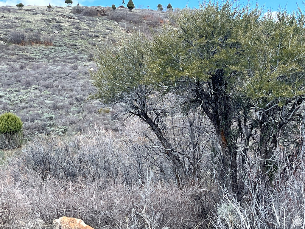 1243 W CEDAR DR Garden City, UT 84028