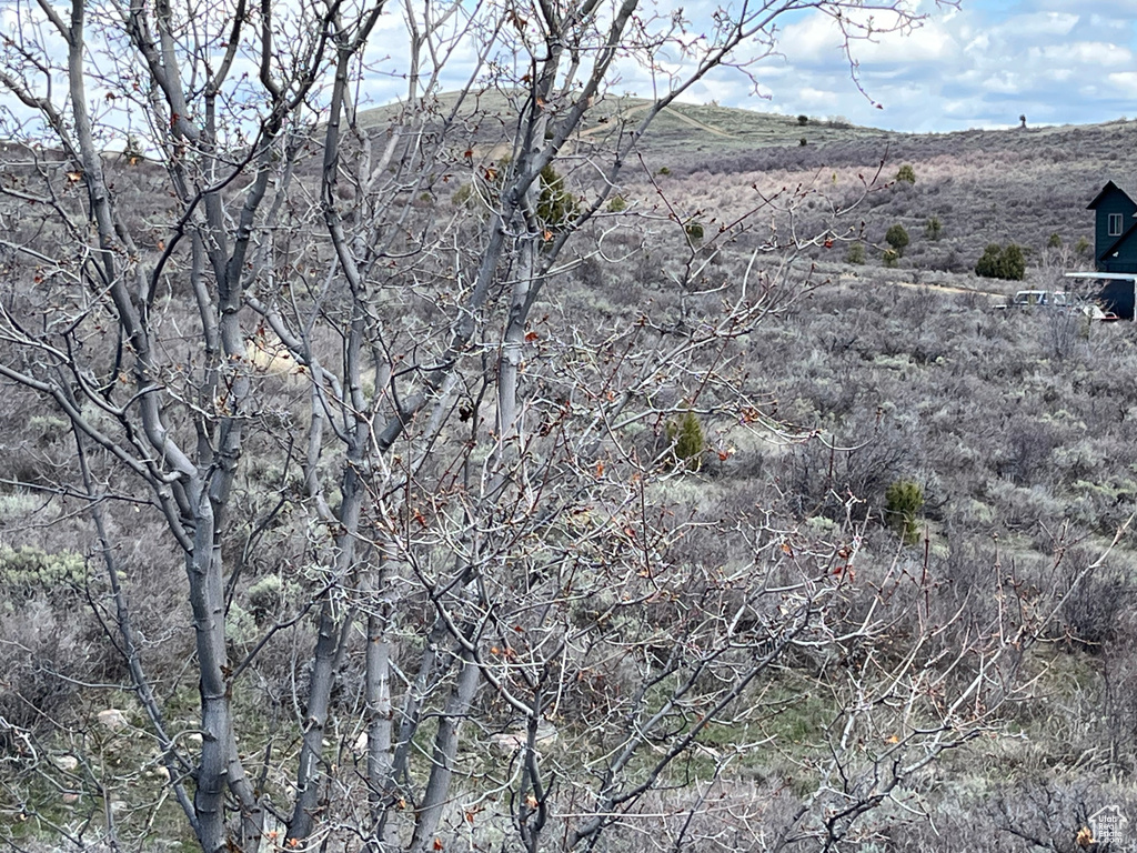 1243 W CEDAR DR Garden City, UT 84028