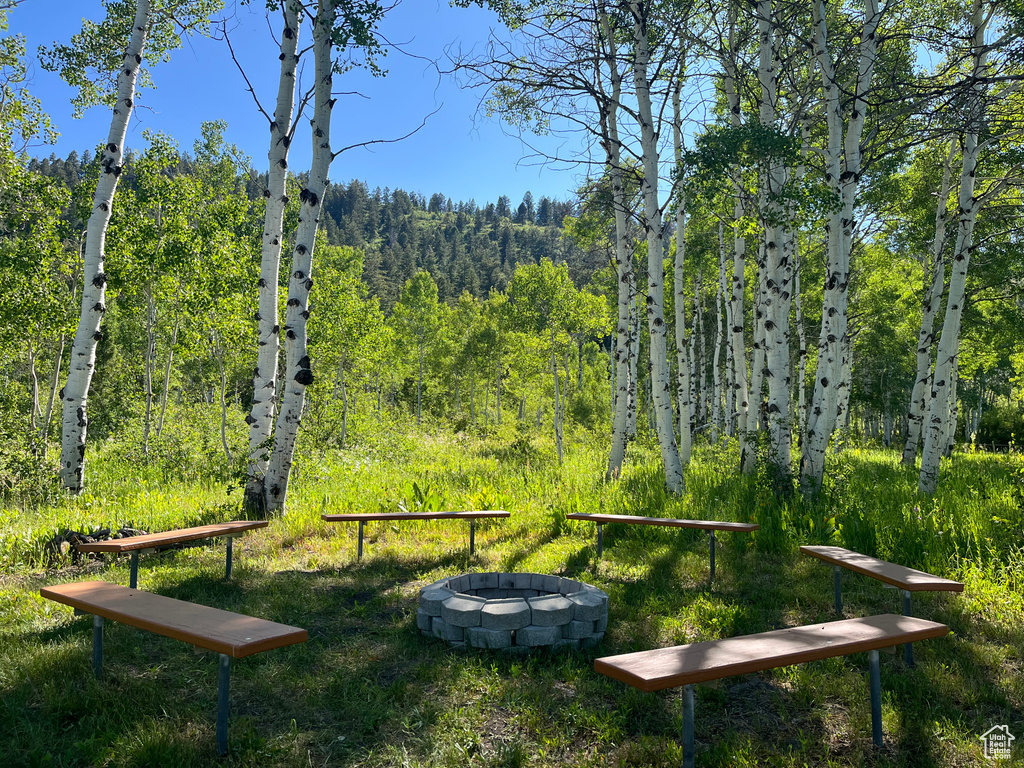  Montpelier, ID 83254