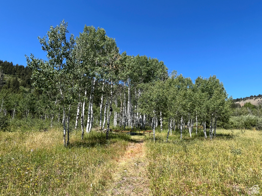  Montpelier, ID 83254