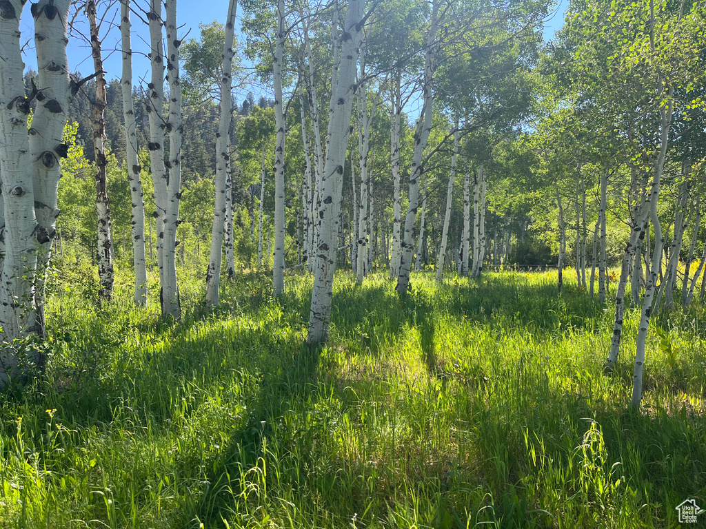  Montpelier, ID 83254