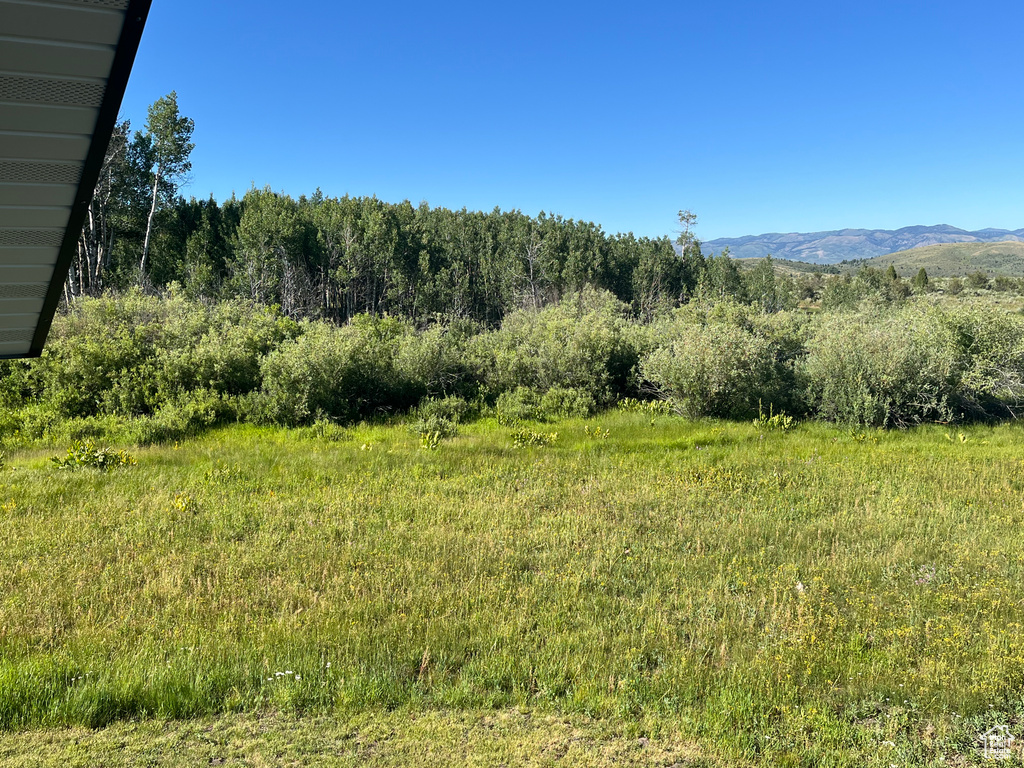  Montpelier, ID 83254