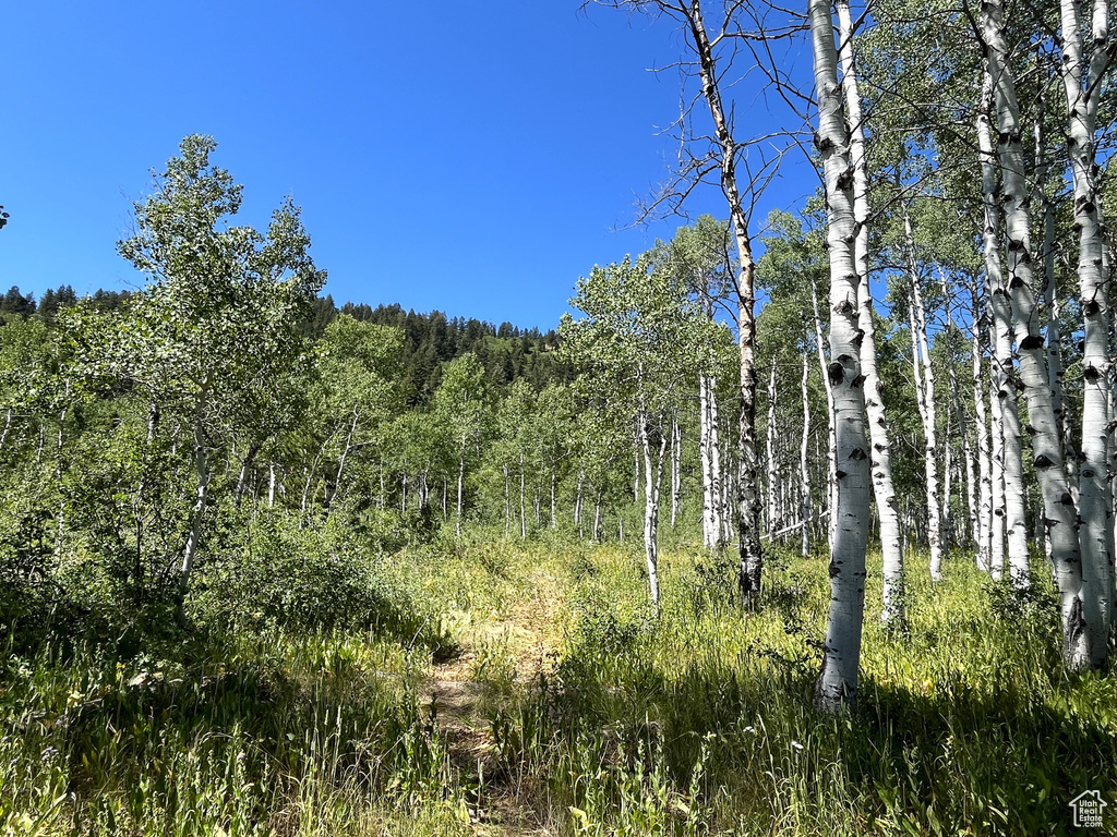  Montpelier, ID 83254