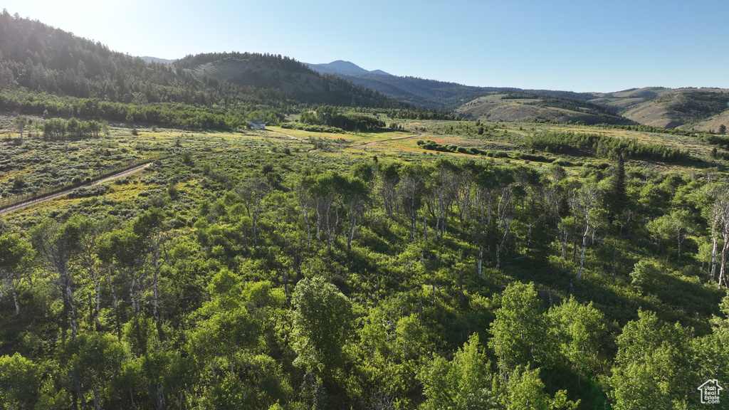  Montpelier, ID 83254