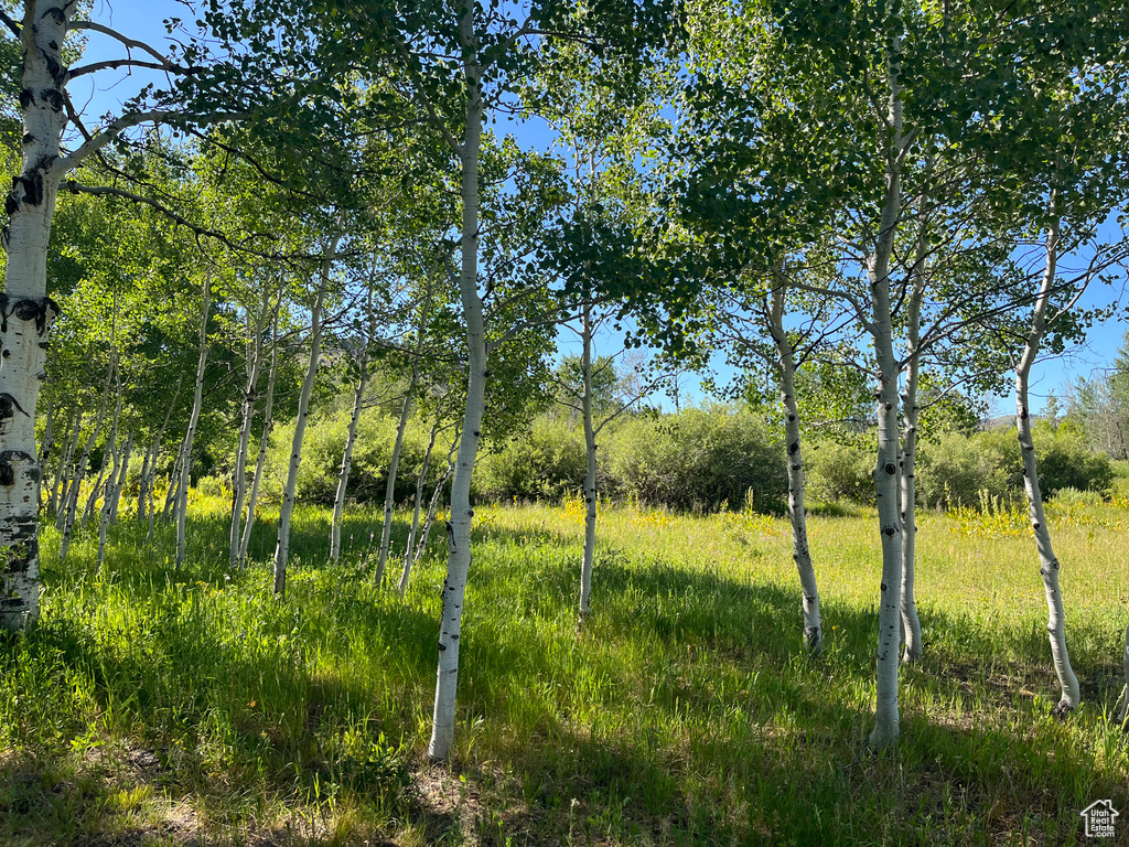  Montpelier, ID 83254