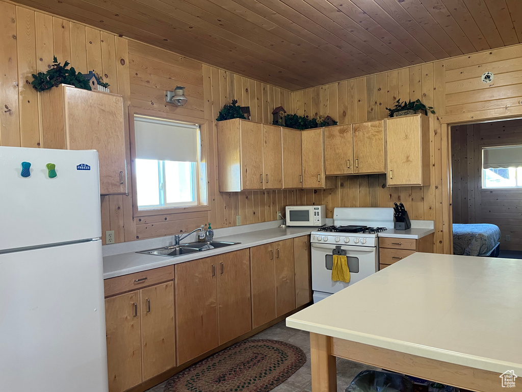  Montpelier, ID 83254