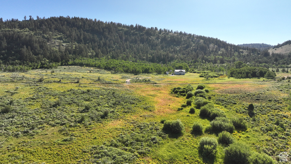  Montpelier, ID 83254