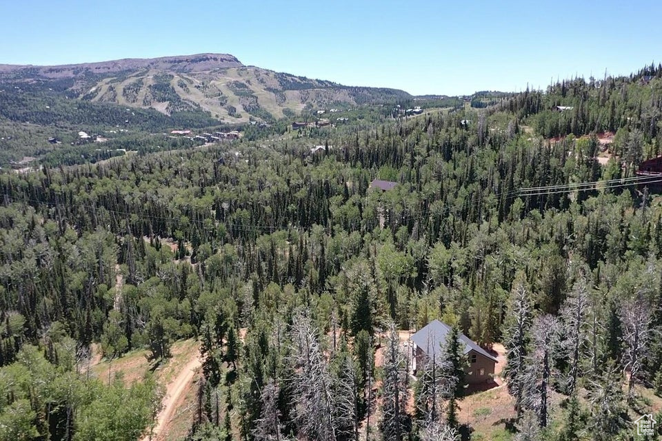 636 W KOKOPELLI LOOP Brian Head, UT 84719