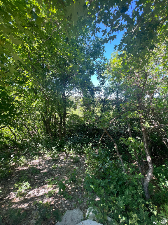 13606 E 22460 N Fairview, UT 84629