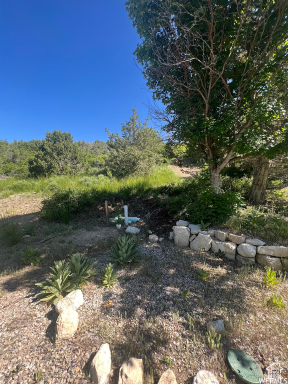 13606 E 22460 N Fairview, UT 84629
