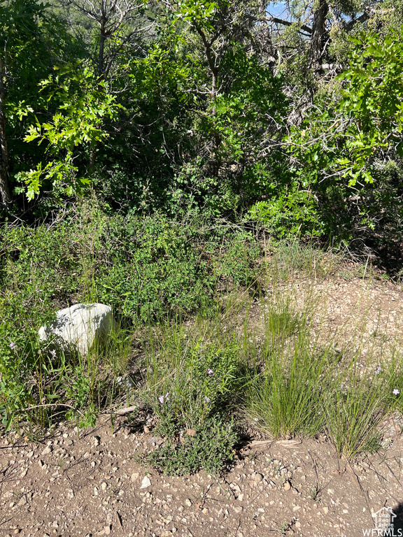 13606 E 22460 N Fairview, UT 84629