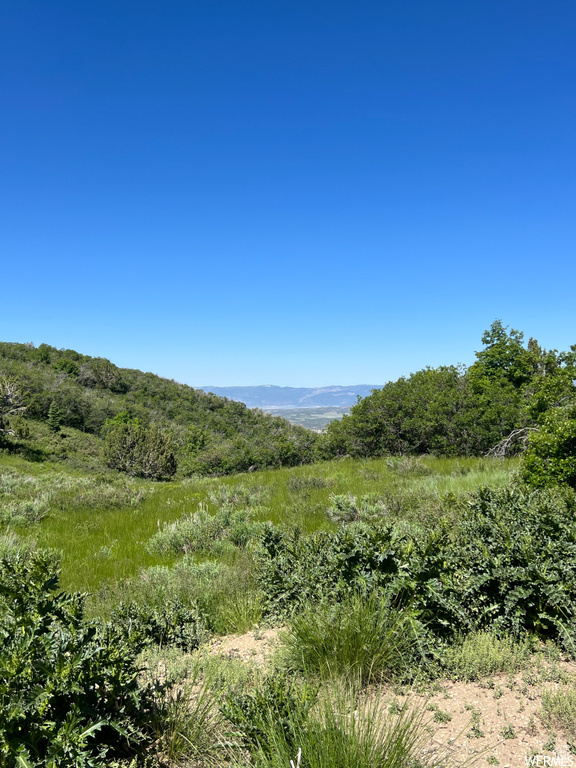 13606 E 22460 N Fairview, UT 84629