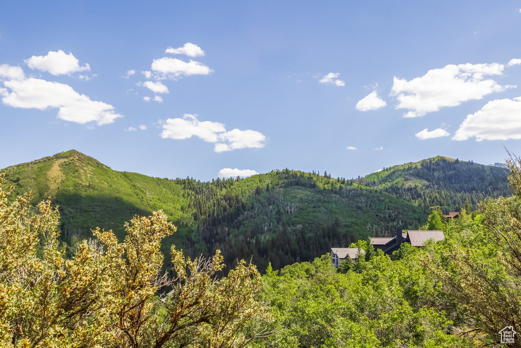 7381 N BUCKBOARD DR Park City, UT 84098