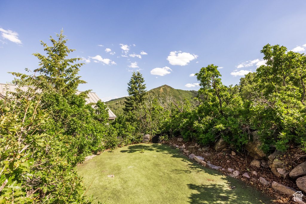 7381 N BUCKBOARD DR Park City, UT 84098