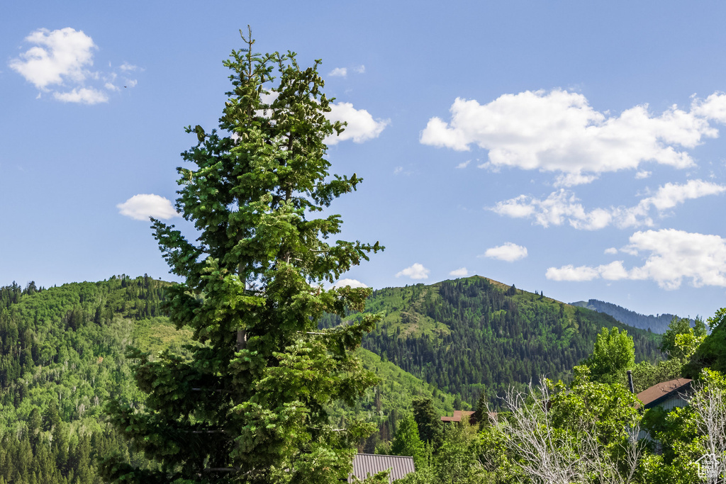 7381 N BUCKBOARD DR Park City, UT 84098