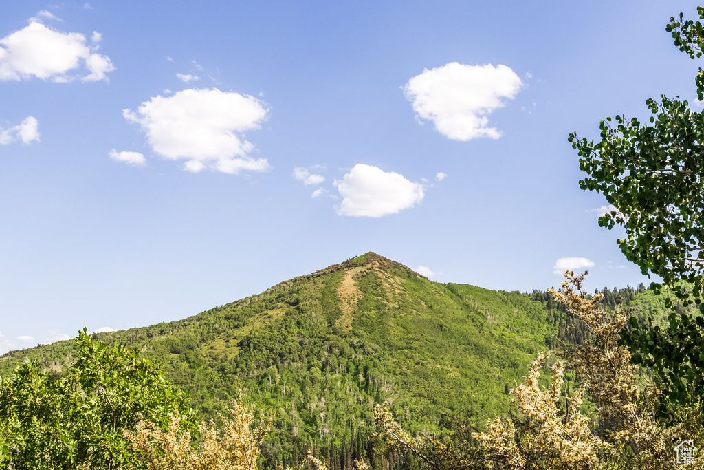 7381 N BUCKBOARD DR Park City, UT 84098