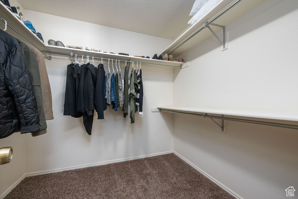 875 RIO VIRGIN DR #224 St George, UT 84790