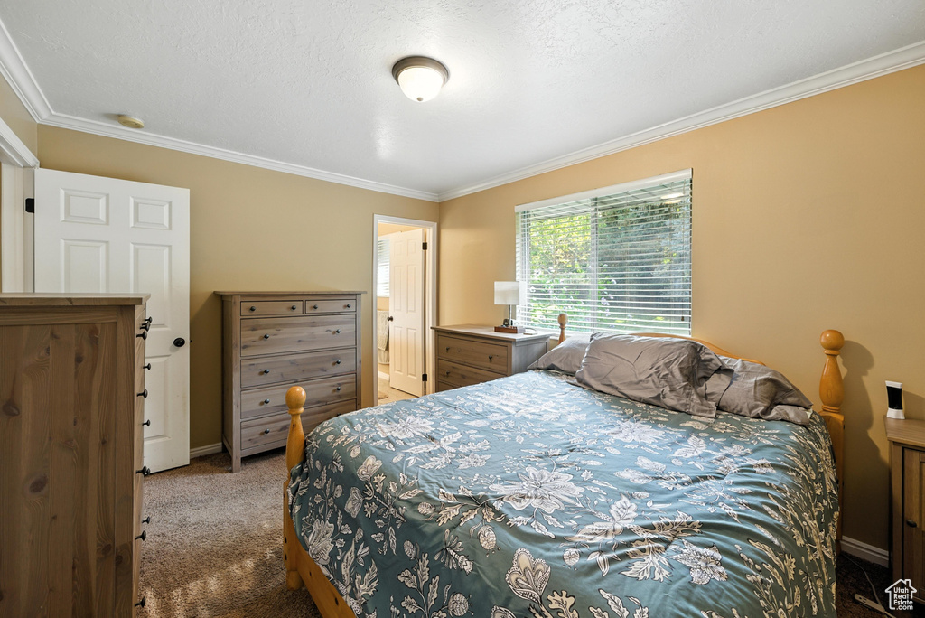 10247 S 2460 E Sandy, UT 84092