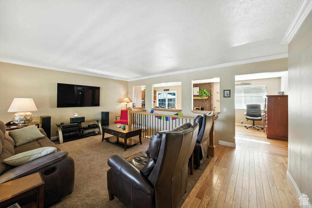 10247 S 2460 E Sandy, UT 84092