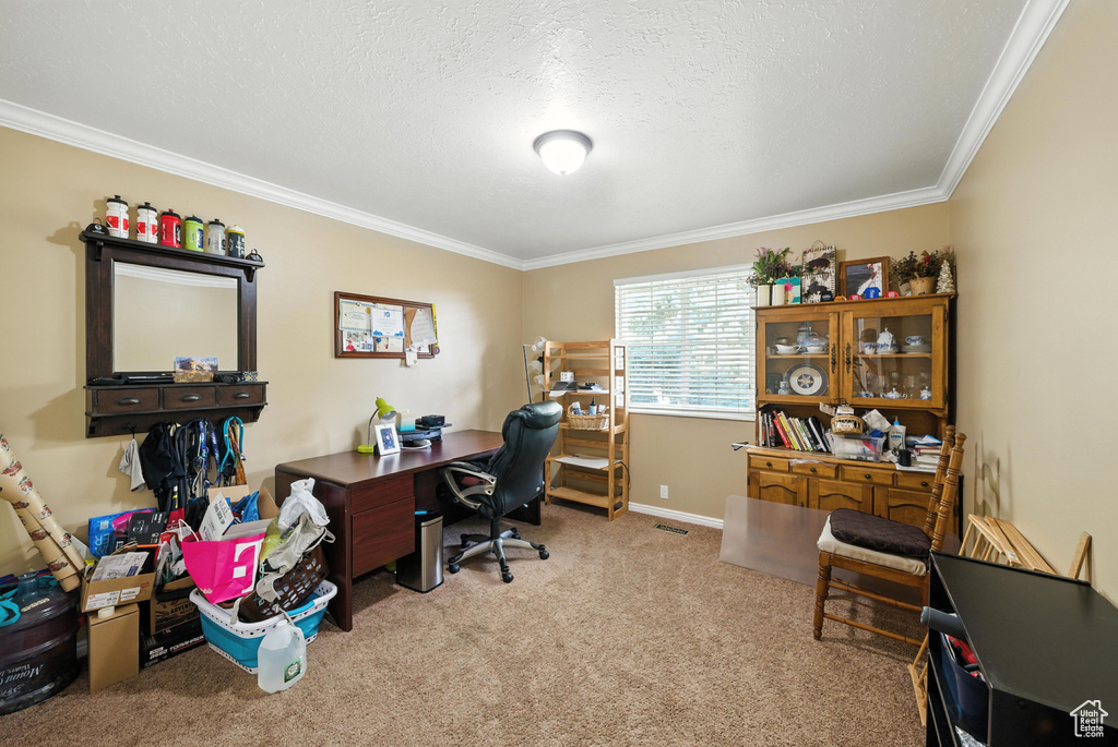 10247 S 2460 E Sandy, UT 84092