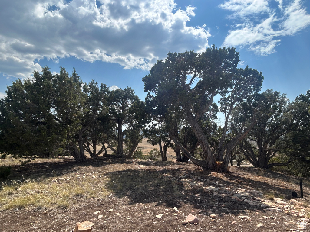 46247 W BANDANNA DR Fruitland, UT 84027