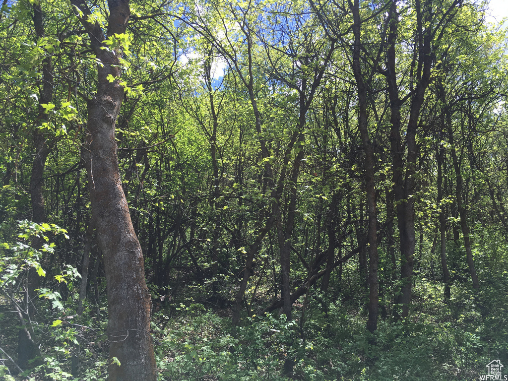 95 N OAK HAVEN Midway, UT 84049