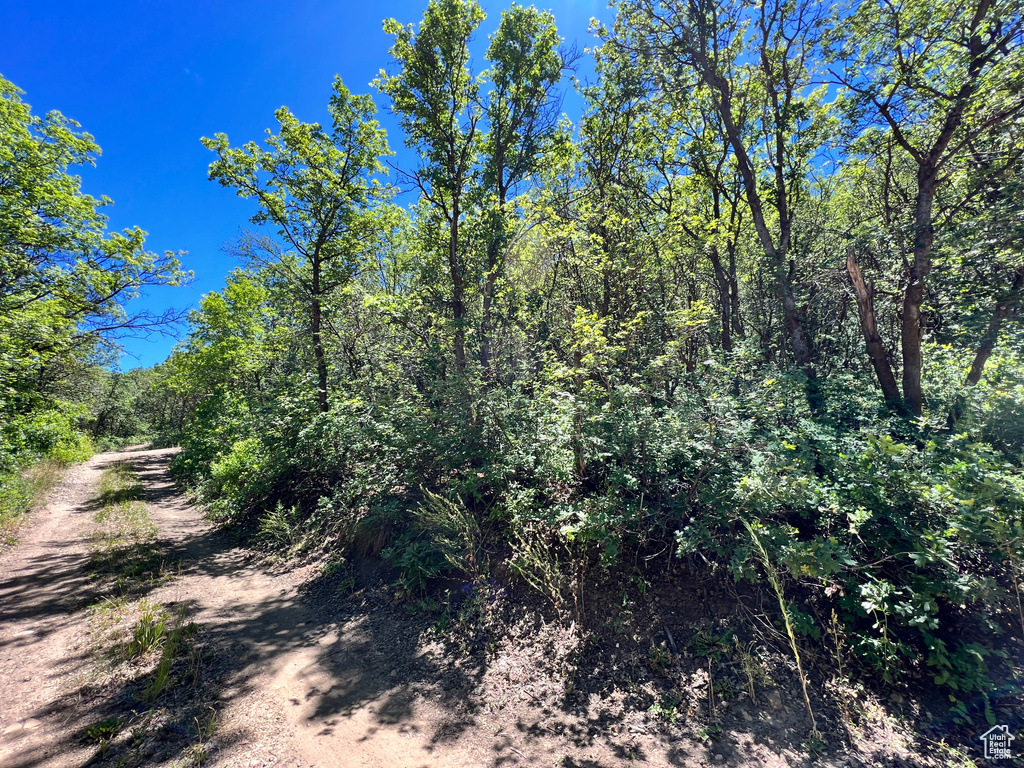 95 N OAK HAVEN Midway, UT 84049