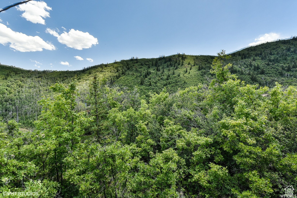 95 N OAK HAVEN Midway, UT 84049