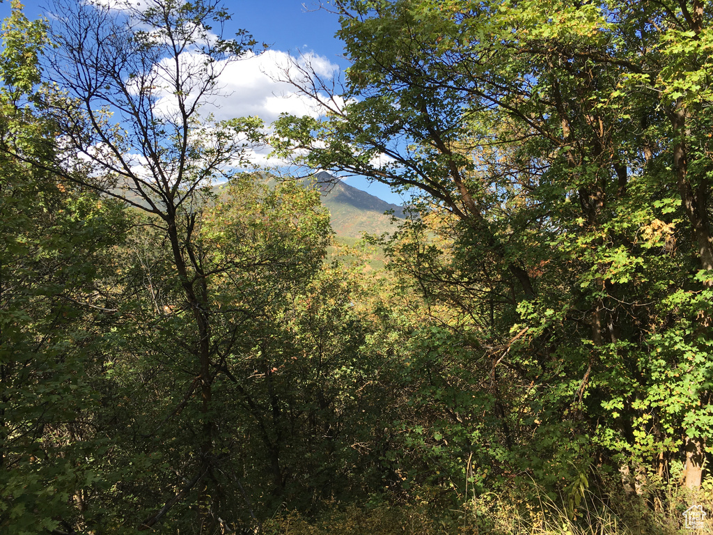 95 N OAK HAVEN Midway, UT 84049